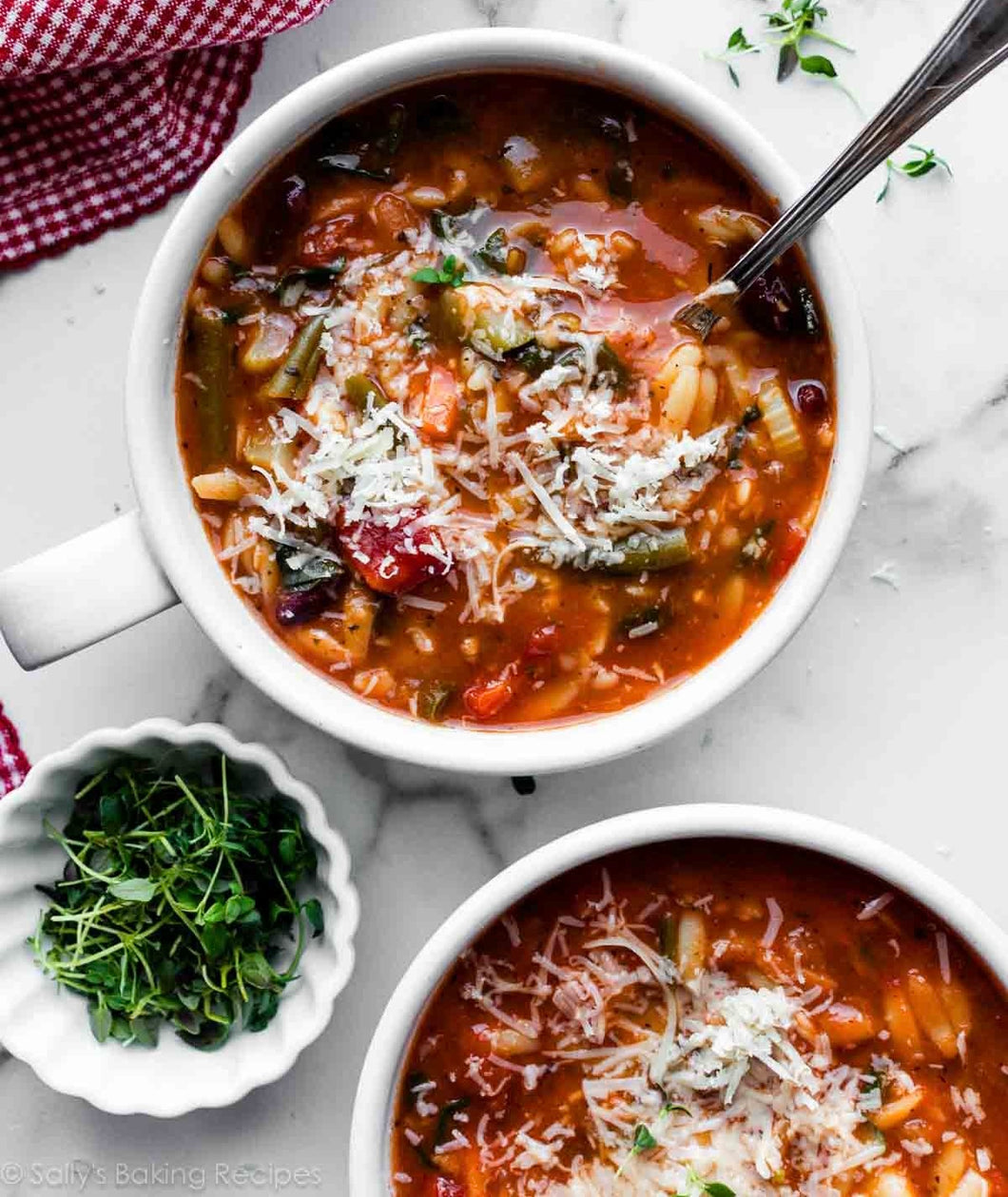 Minestrone Soup